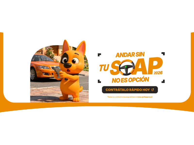 Imagen titularSeguro SOAP