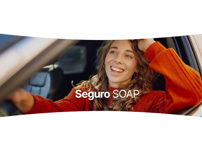 Imagen titularSeguro SOAP