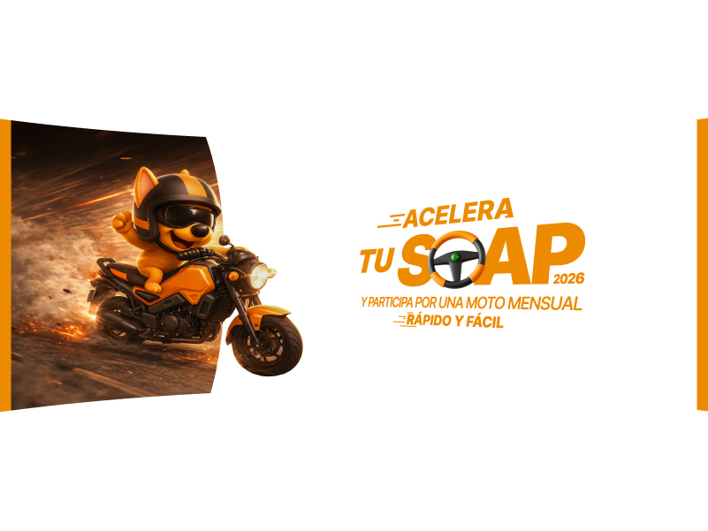 Imagen titularSeguro SOAP