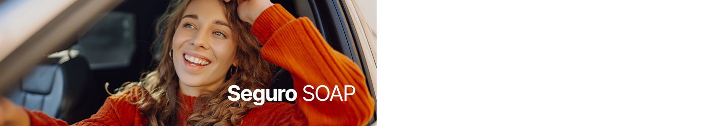 Seguro SOAP