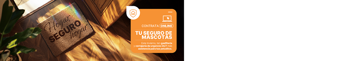 Seguro Hogar 